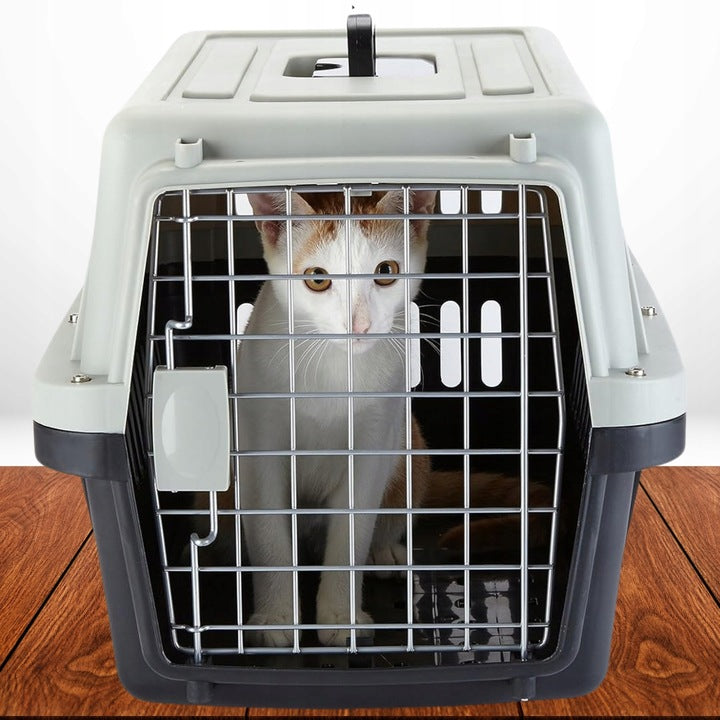 Transporter For Cat Dog Rabbit Animal Cage Playpen For Car Large Size other
