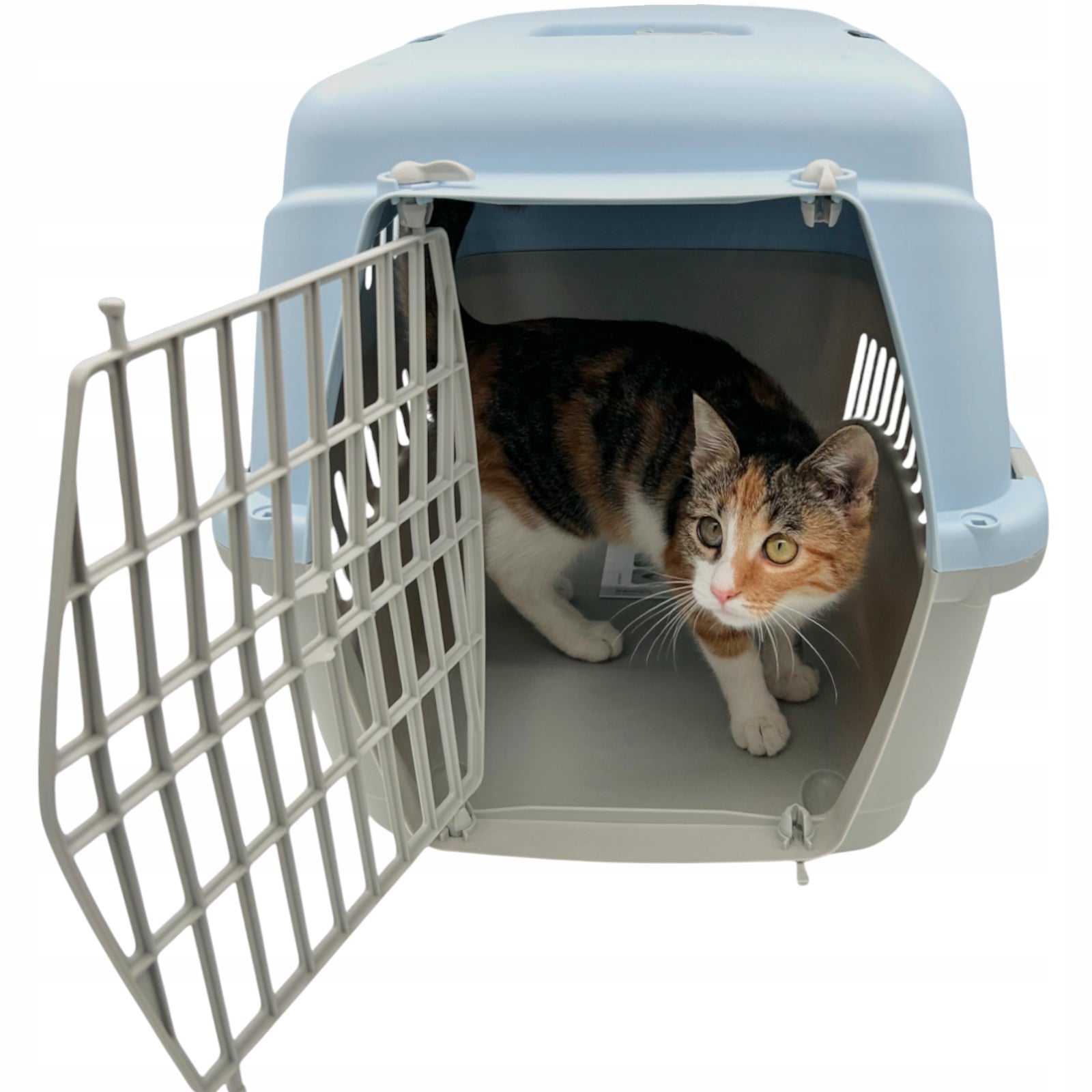 Transporter Gipsy L for Cat Dog up to 12kg Plastic Door 58x38x38 COLORS Product depth 58 cm