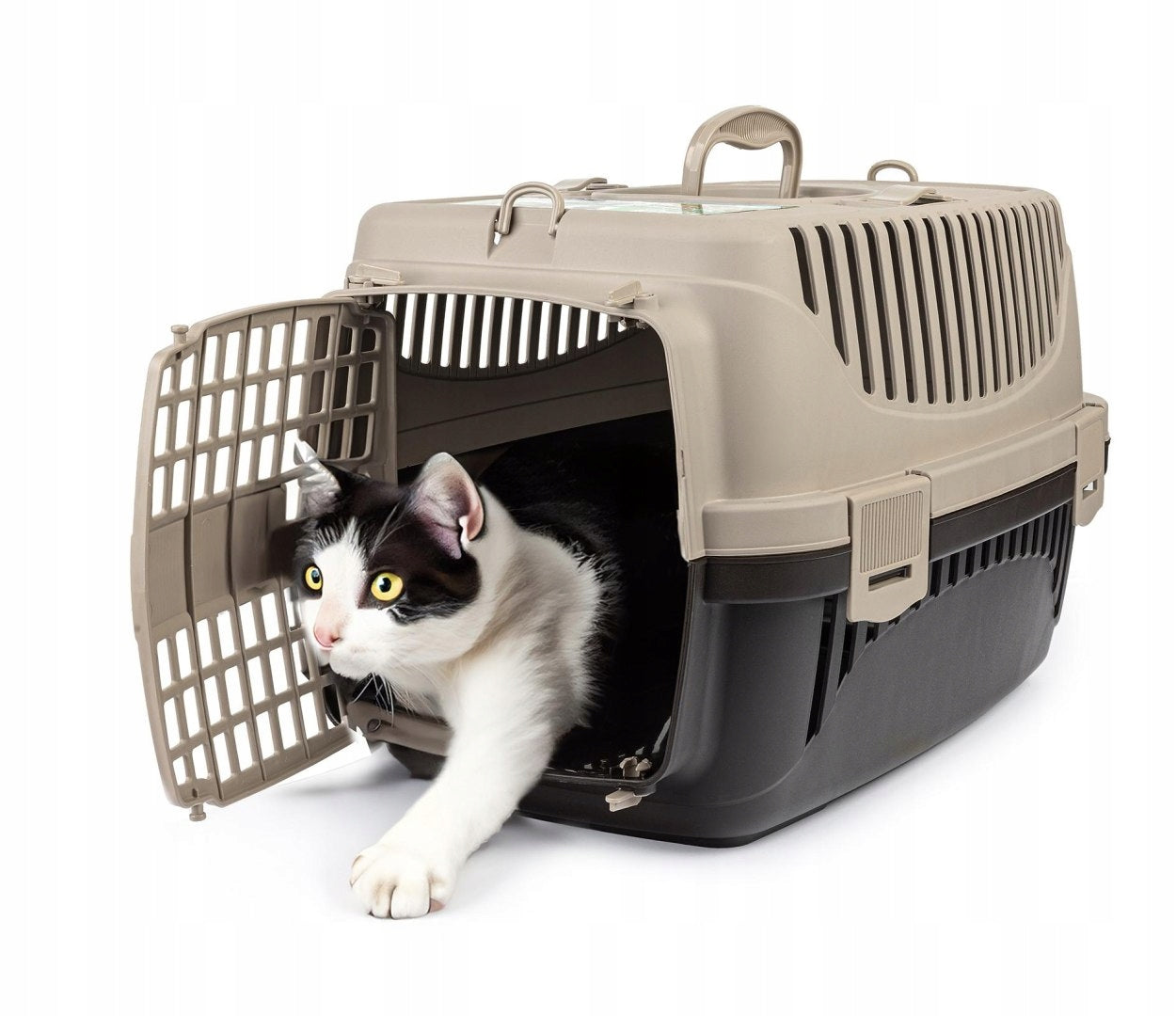 Transporter Happet POLLY S 32,5 cm x 48 cm x 31 cm beige Trade name Transporter Polly S beżowy&brązowy 48x32,5x31 cm