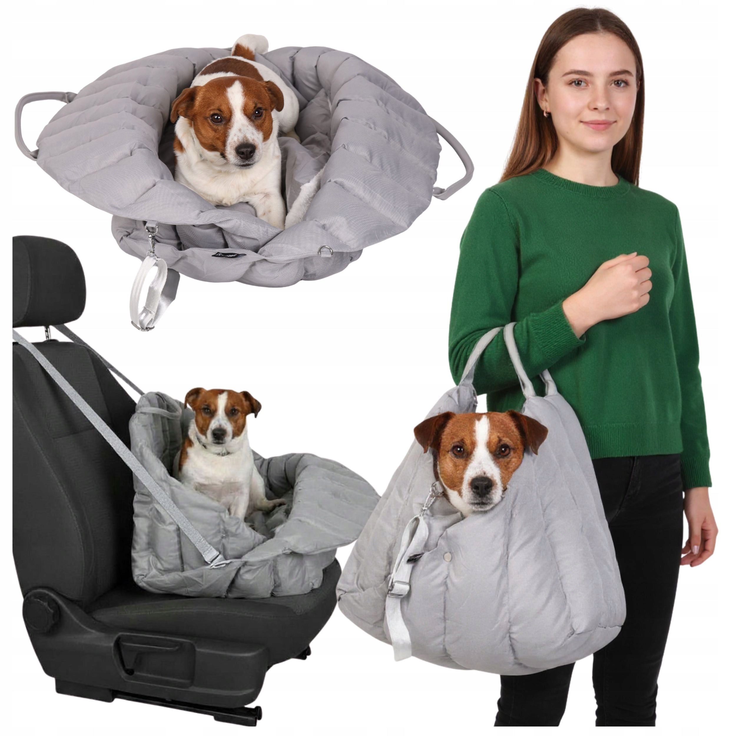Transporter for cat dog carry bag bed carrier seat mat