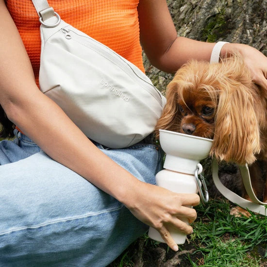 Travel bottle for dogs Springland beige 0,59 l Color beige