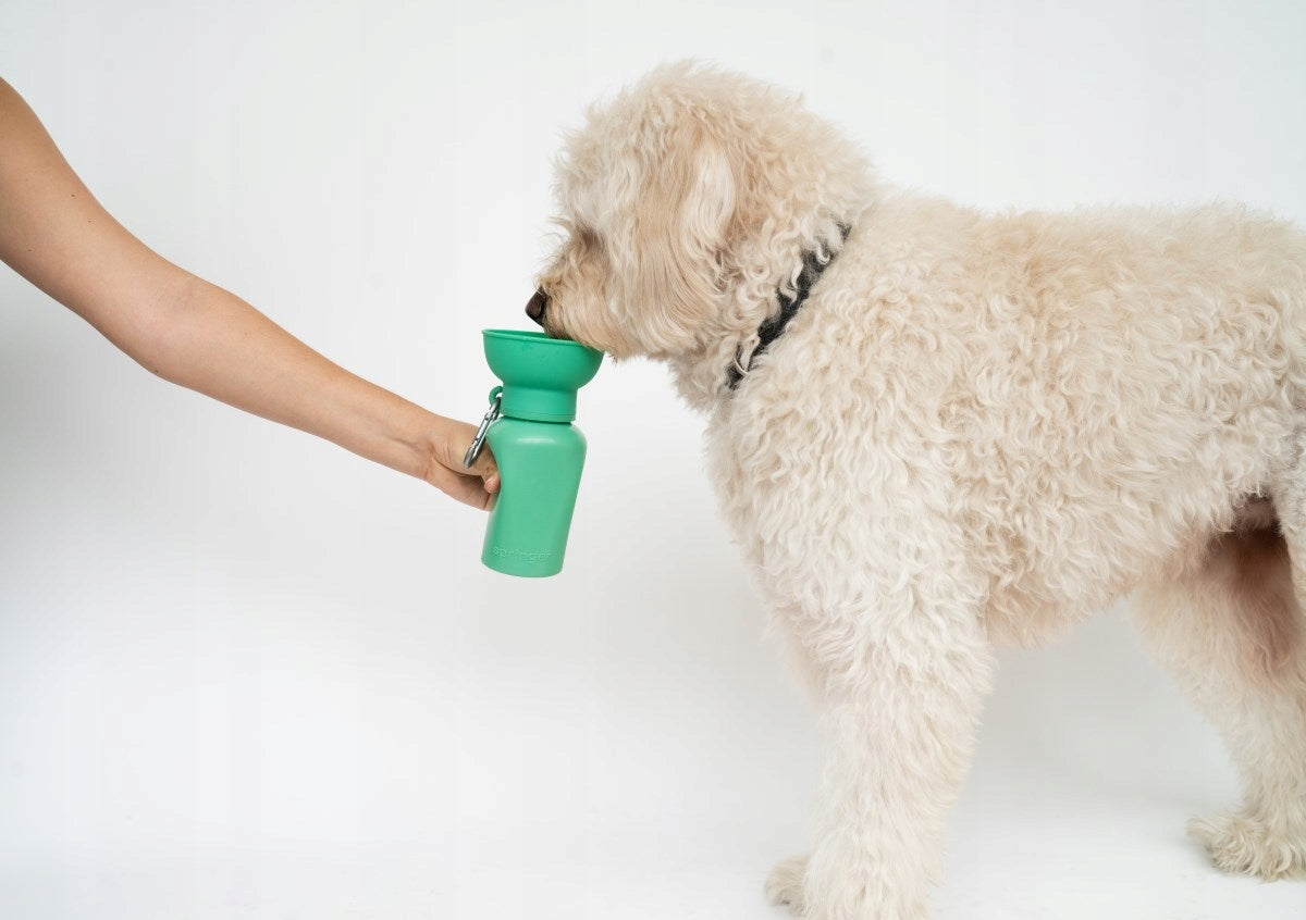 Travel bottle for dogs Springland purple 0,59 l Material made from a synthetic material