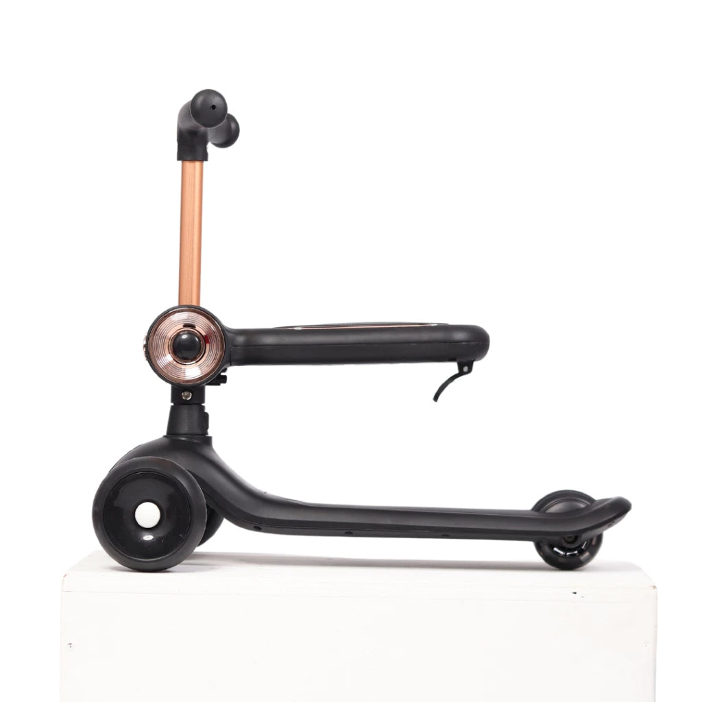 Tricycle scooter 2in1 rider Lemoo RS120 Brake yes