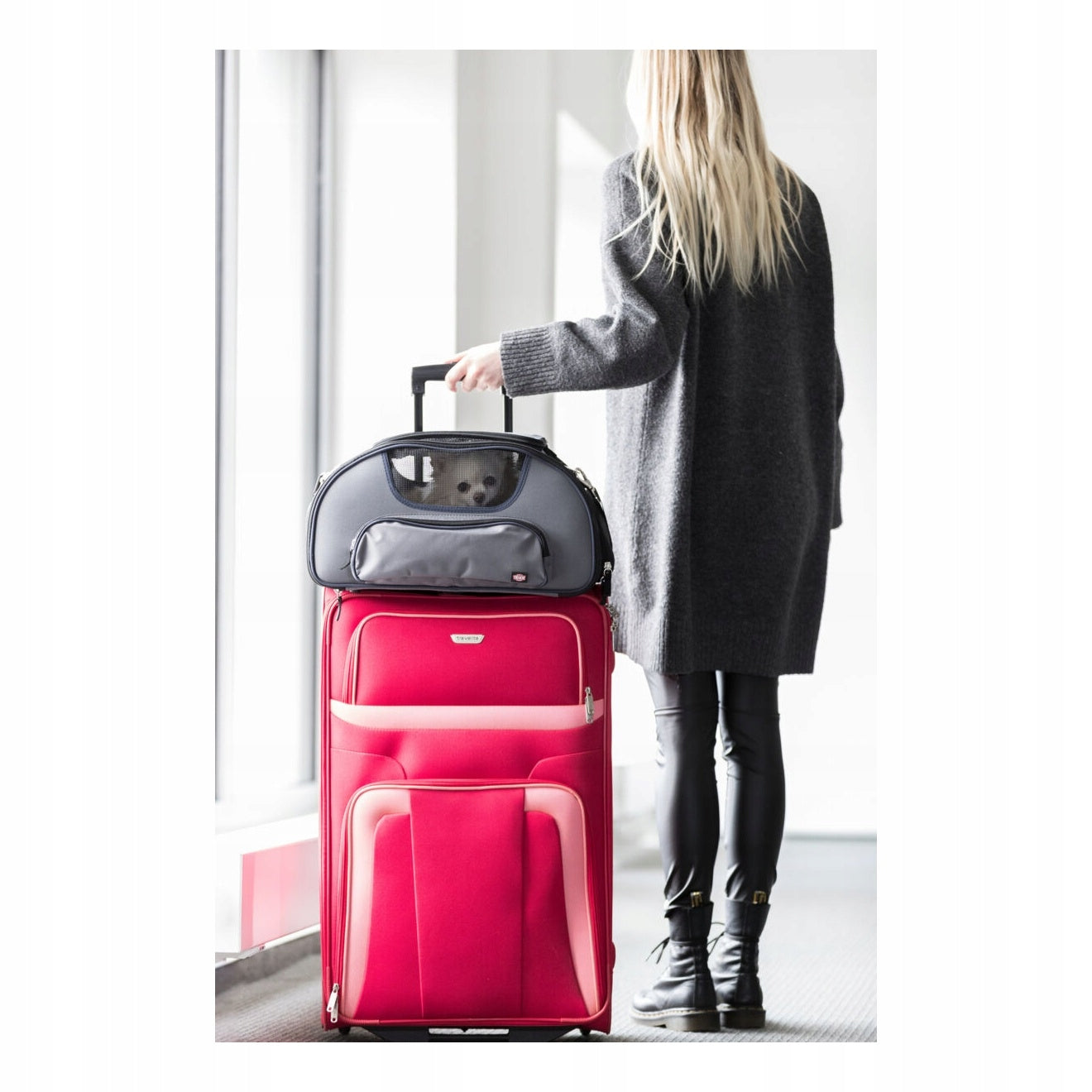 Trixie Bag Wings grey/blue 28x23x46cm for air transport Product width 46 cm