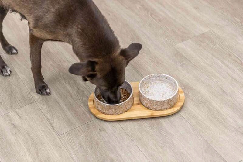 Trixie Dog Bowl Set Ceramic/Bamboo White/Ecru Capacity 0.8 l