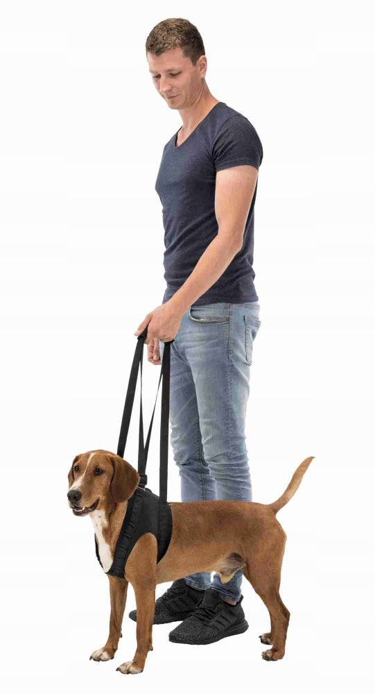Trixie Dog Rehabilitation Harness Black L-XL Trade name UPRZĄŻ REHABILITACYJNA L-XL
