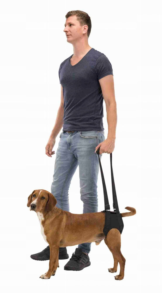 Trixie Dog Rehabilitation Harness Black L-XL Type harness with handle