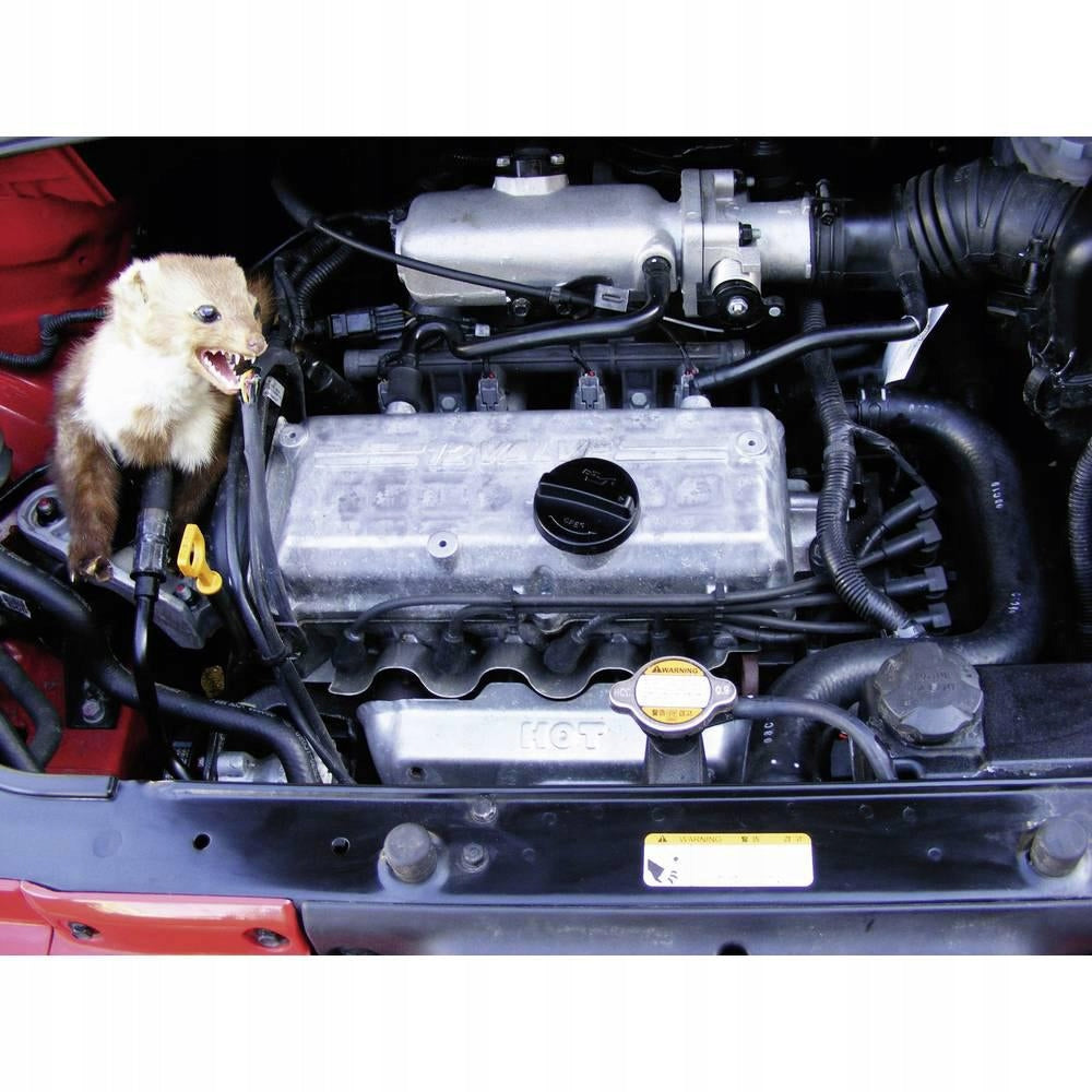 ULTRASONIC CAR REPELLENT FOR MARTENS RODENT PESTS KEMO M186 Manufacturer code ULTRADZWIĘKI DO KUN ŁASIC ZWIERZĘT DO AUTA