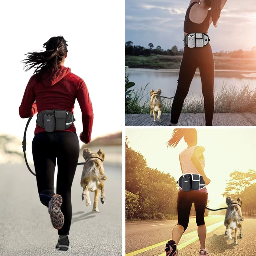 UNIVERSAL HIP BELT Lanyard for Dog Running Elastic Grey 2,5m Manufacturer code ZWI/MW/B-PAS01