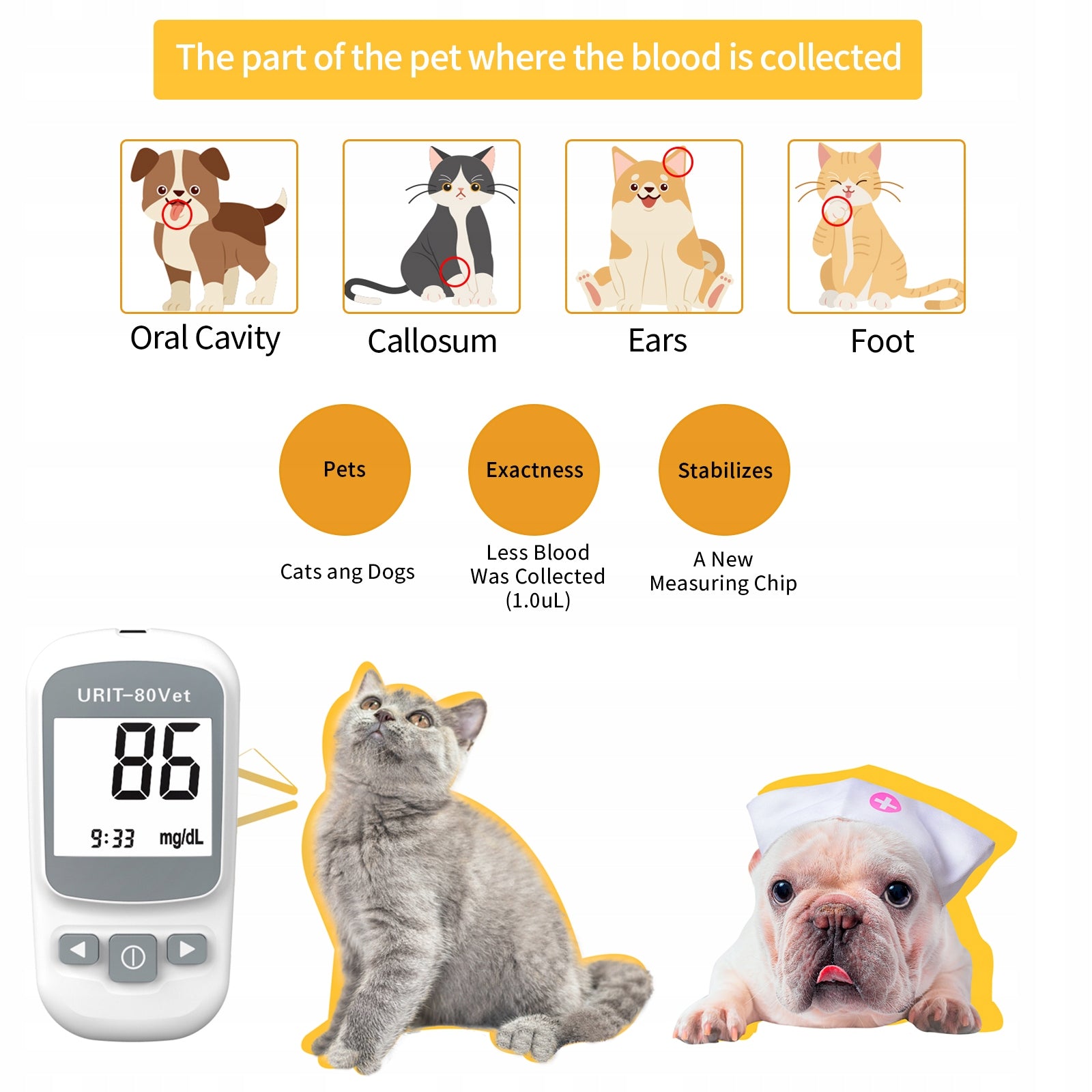 URIT Animal Blood Glucose Meter for Cats and Dogs with 50 Test Strips Packaging status original