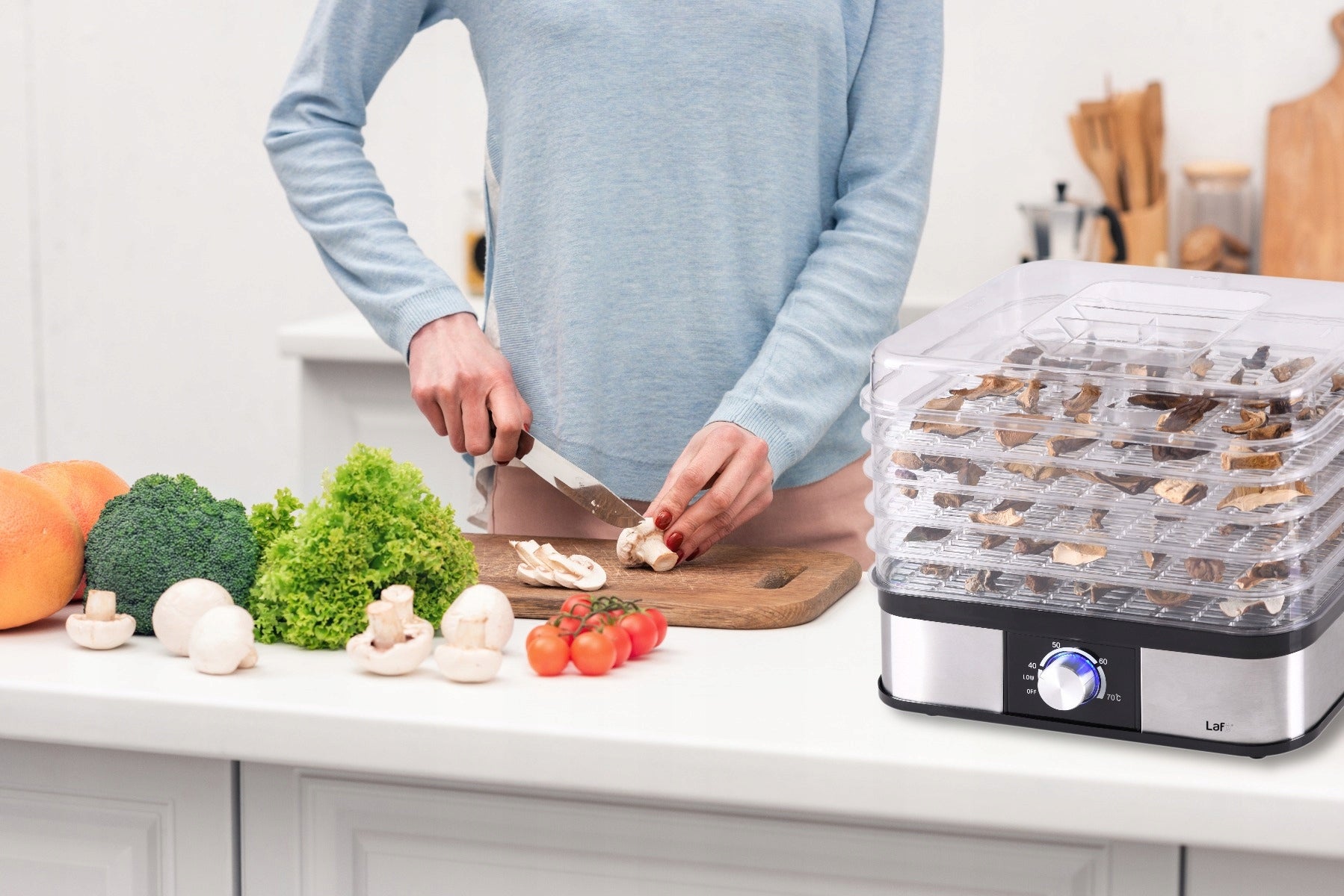 VEGETABLE AND FRUIT MUSHROOM DRYER Lafe, 250 W, TEMPERATURE ADJUSTABLE Packaging status original