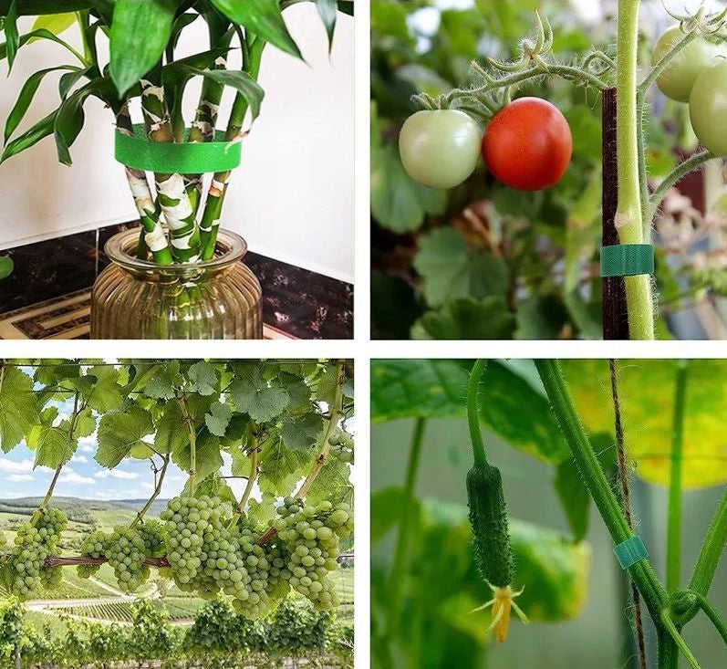 VELCRO GARDEN TAPE 5M GREEN FOR LIGATING TOMATO PLANTS Manufacturer code taśma rzepowa ogrodnicza podwiązywania drzew
