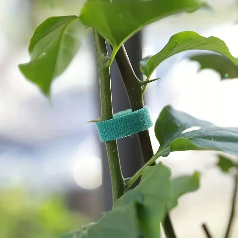 VELCRO GARDEN TAPE 5M GREEN FOR LIGATING TOMATO PLANTS Number of pieces 1 pcs