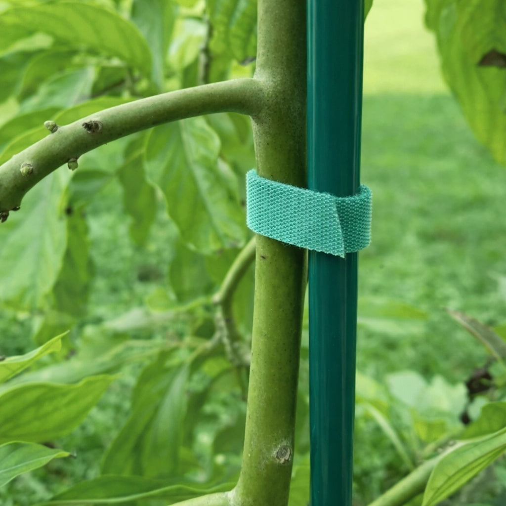 VELCRO TAPE FOR FLOWER PLANTS FOR TYING HEADBAND GREEN 5m 1cm Brand Mensen