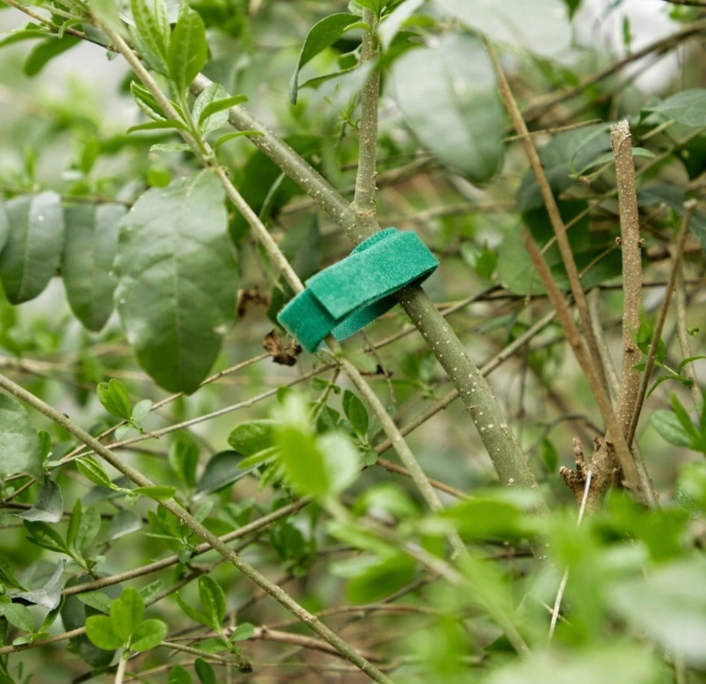 VELCRO TAPE GARDEN TOMATO BUSH PLANT BINDING HOLDER 2m Brand no brand