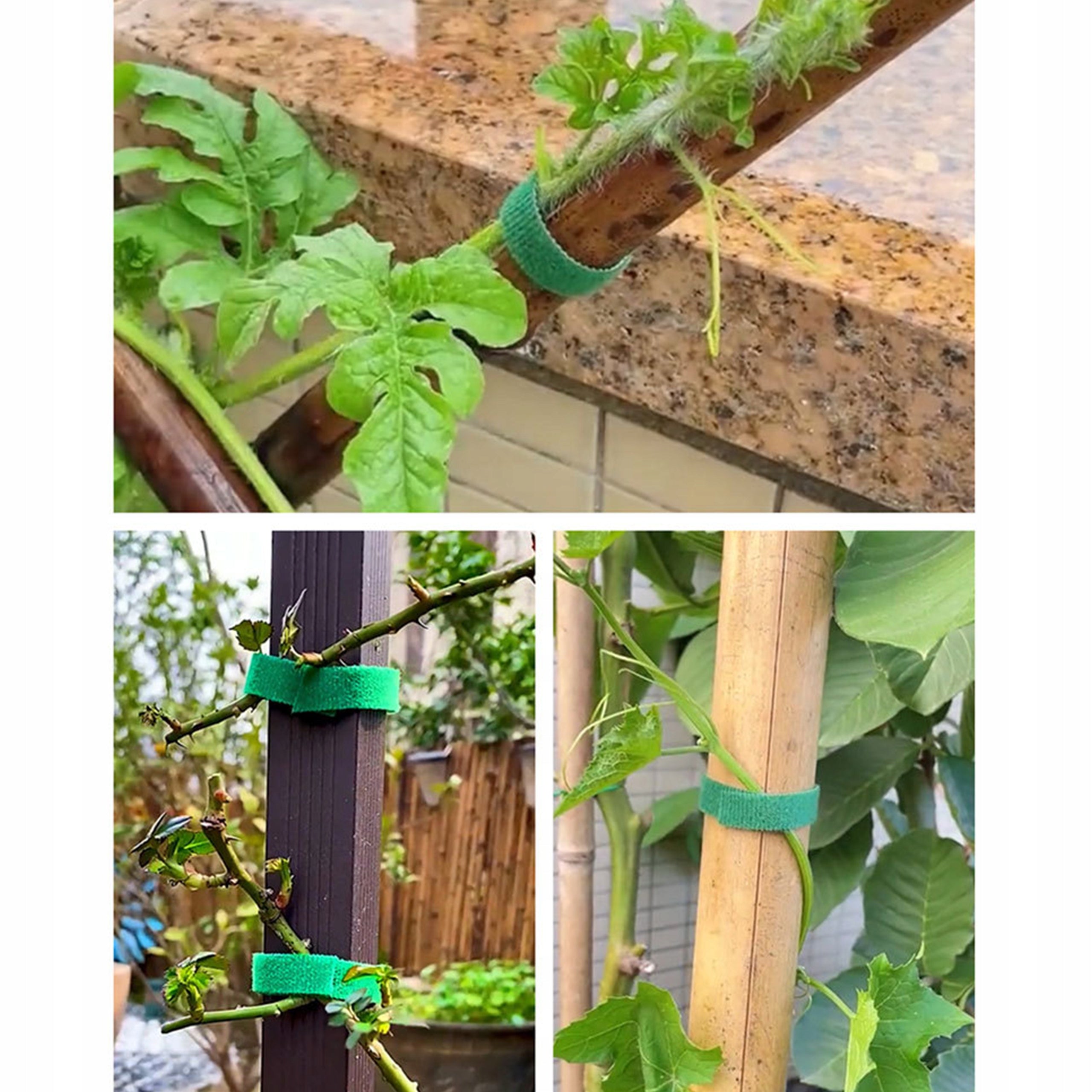 VELCRO TAPE with velcro GARDENING FOR TOMATO LIGATION PLANTS 6m Dominant material plastic