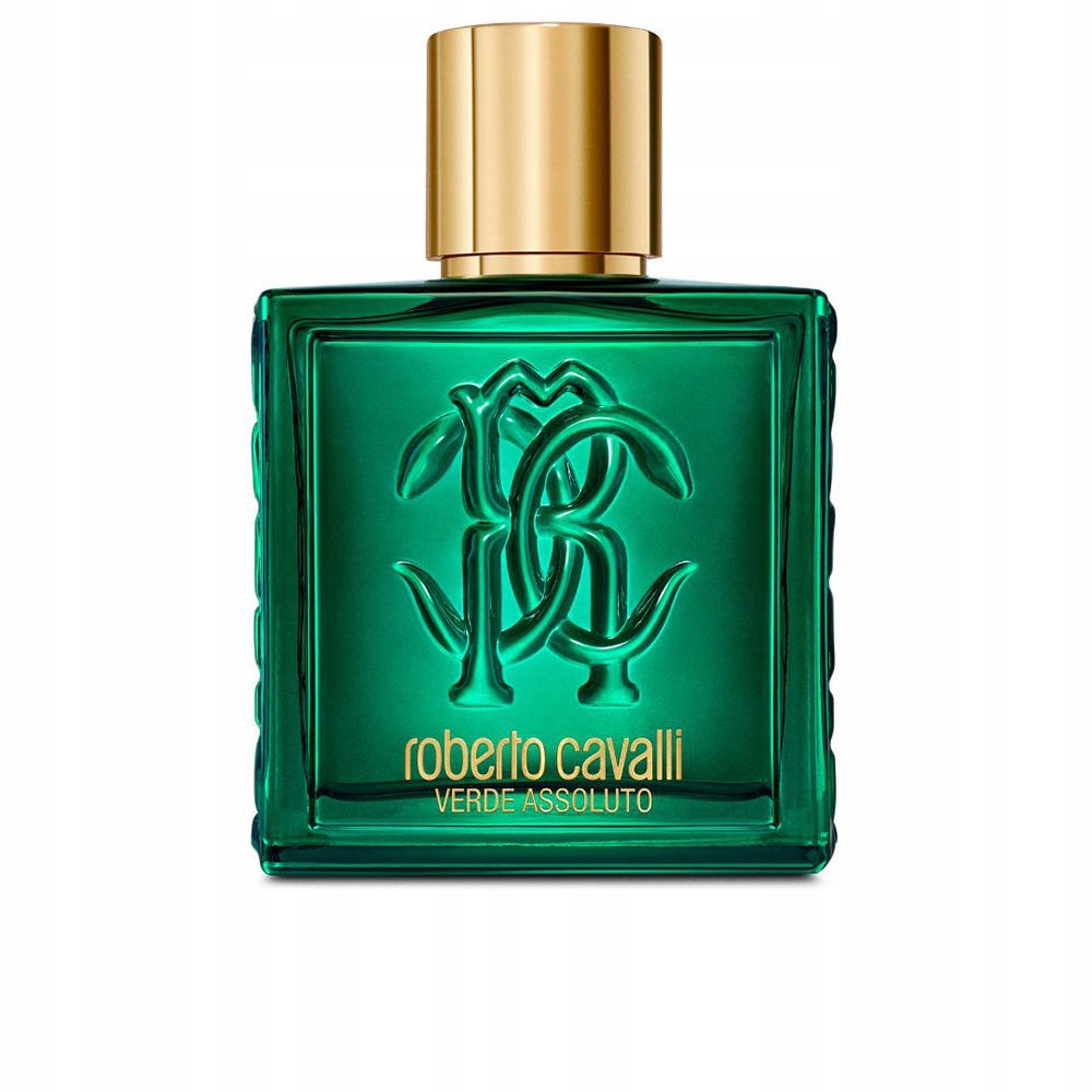 VERDE ASSOLUTO edp vapo 100 ml