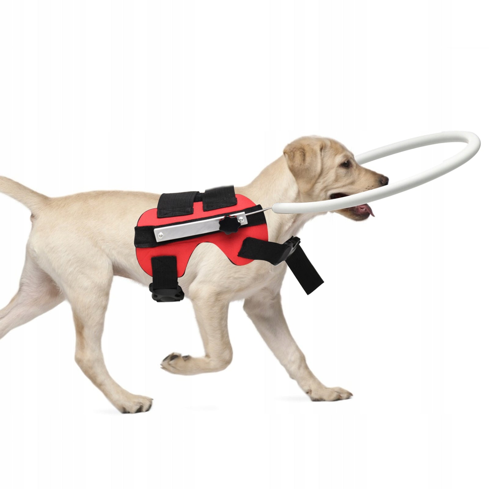 VEST SUSPENDERS BLIND DOG ANTI-COLLISION