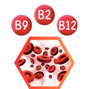 VITAMIN B COMPLEX 90 KAP A strong COMPLEX OF VITAMINS FATIGUE | INSPORT Form capsules