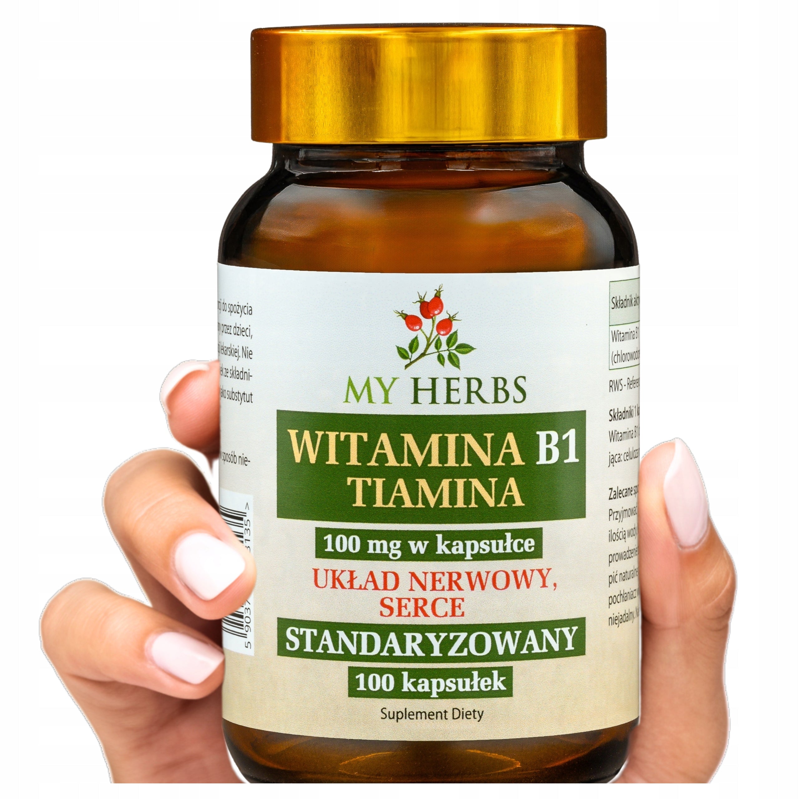 VITAMIN B1 THIAMINE STANDARDIZED NERVOUS SYSTEM HEART 100 KAPS