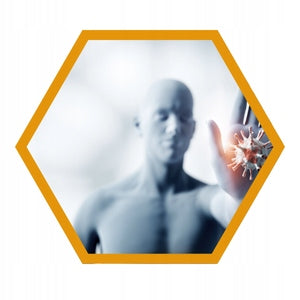 VITAMIN C powder 30g 30 servings Resistance L-ASCORBIC ACID | INSPORT Packaging status original