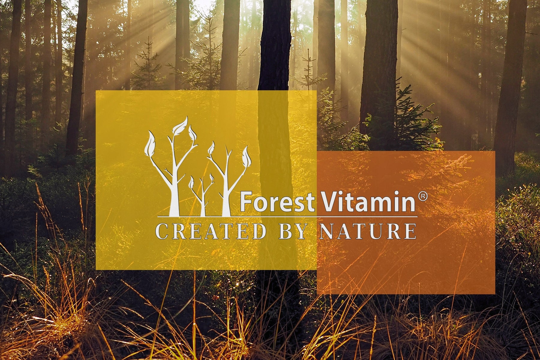 VITAMIN D3 2000 iu+K2 MK-7 100 mcg 100 tab BOOSTS IMMUNITY STRENGTHENS Name Vitamin D3 & K2 MK-7