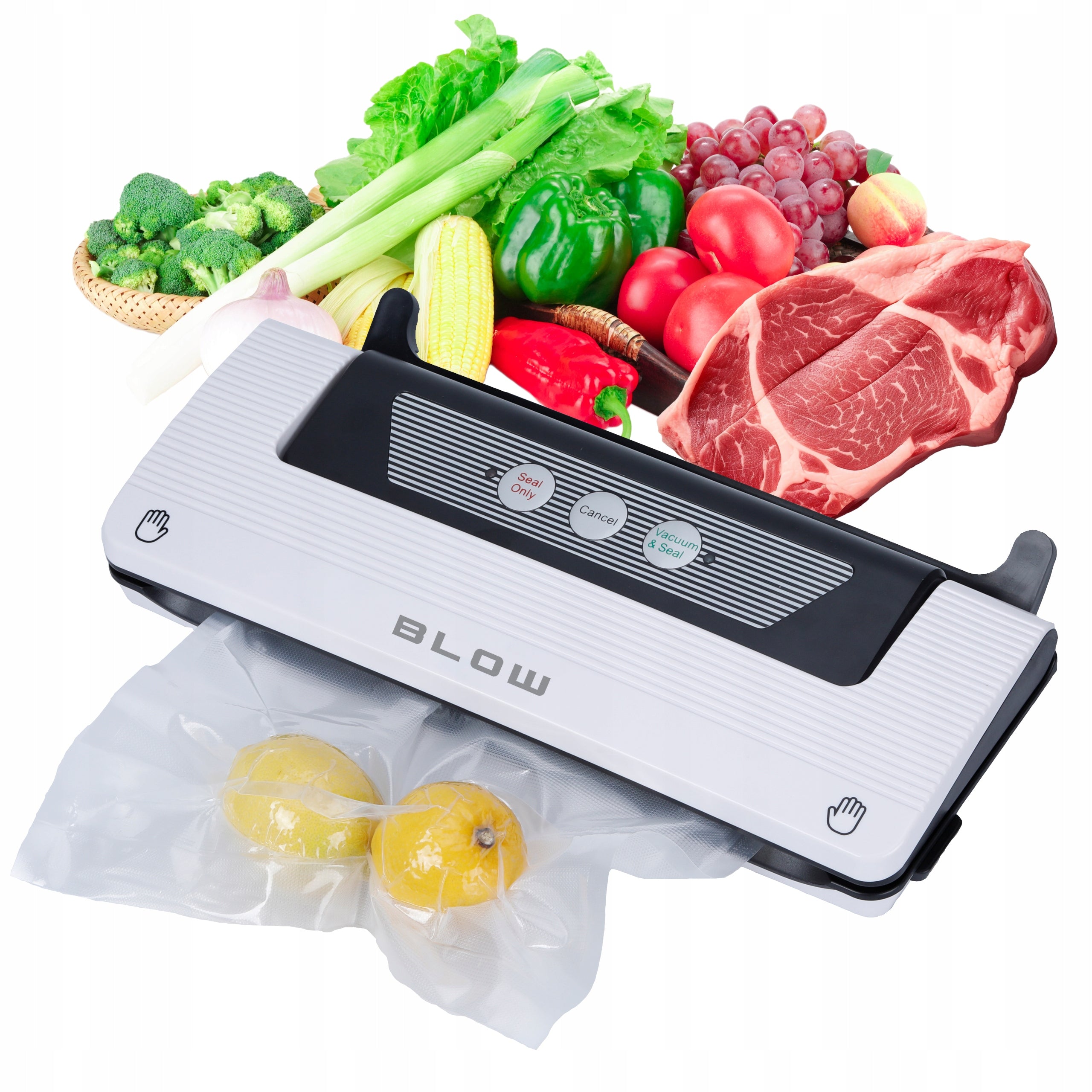 Vacuum welding machine BLOW VS-01 110W Manufacturer code 44-450#