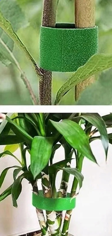 Velcro tape for flowers of tomatoes binding plants of tree bushes 500cm 5m Packaging status original