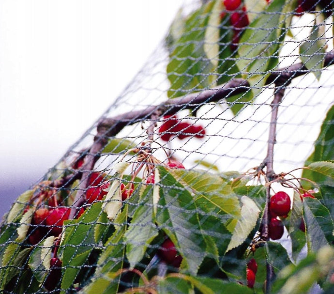 Very STRONG BIRD NET 5m x 10m thick 35g Use Against birds