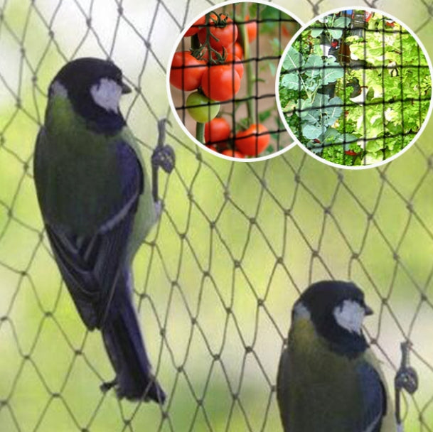 Very Strong BIRD NET with UV wide 5m cut TO SIZE thick 35g EAN (GTIN) 5906306831179