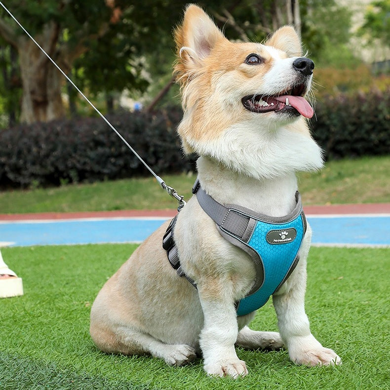 WALKING HARNESS FOR DOG ASTRO BLUE R. S ACCESSORIES FOR Manufacturer code 4904787818741