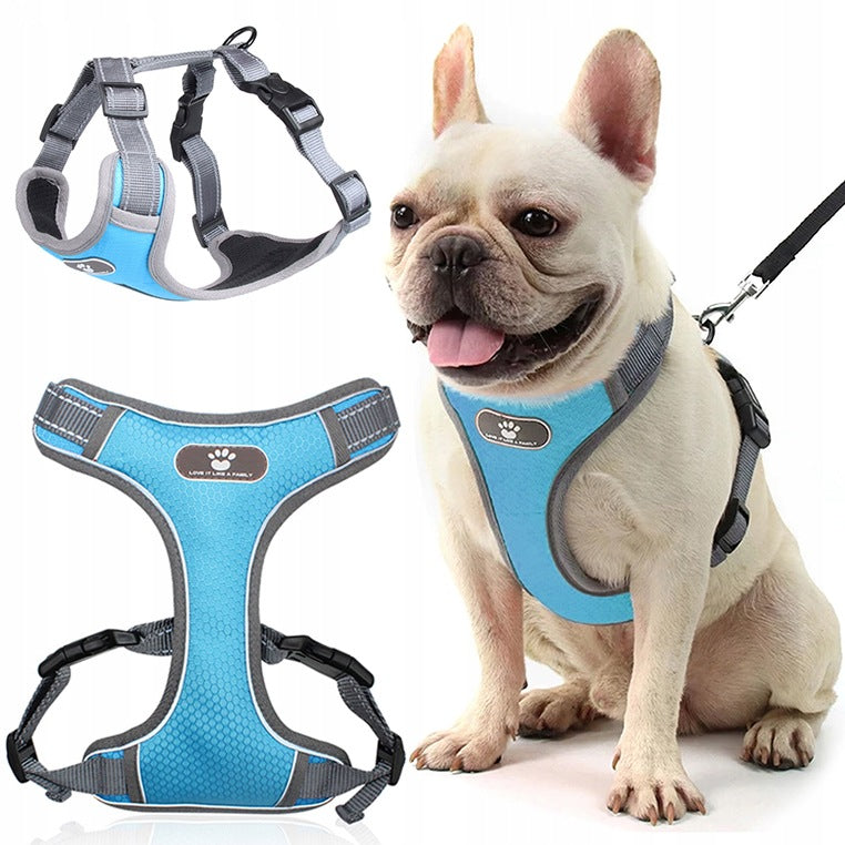 WALKING HARNESS FOR DOG ASTRO BLUE R. S ACCESSORIES FOR