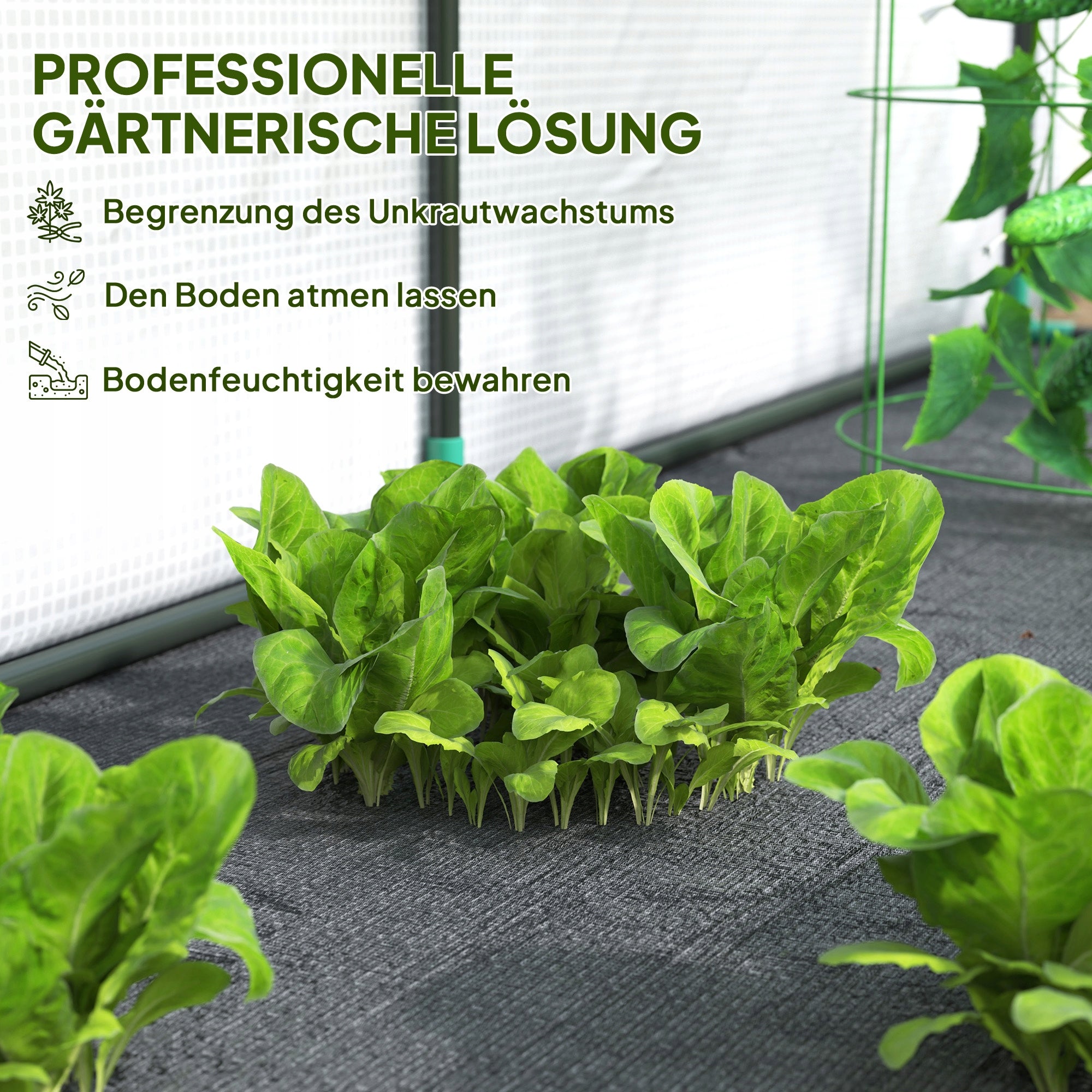 WALL GREENHOUSE, FLOWERBED AVAILABLE, PLASTIC TARPAULIN, 300X80X157 CM Length 300 m