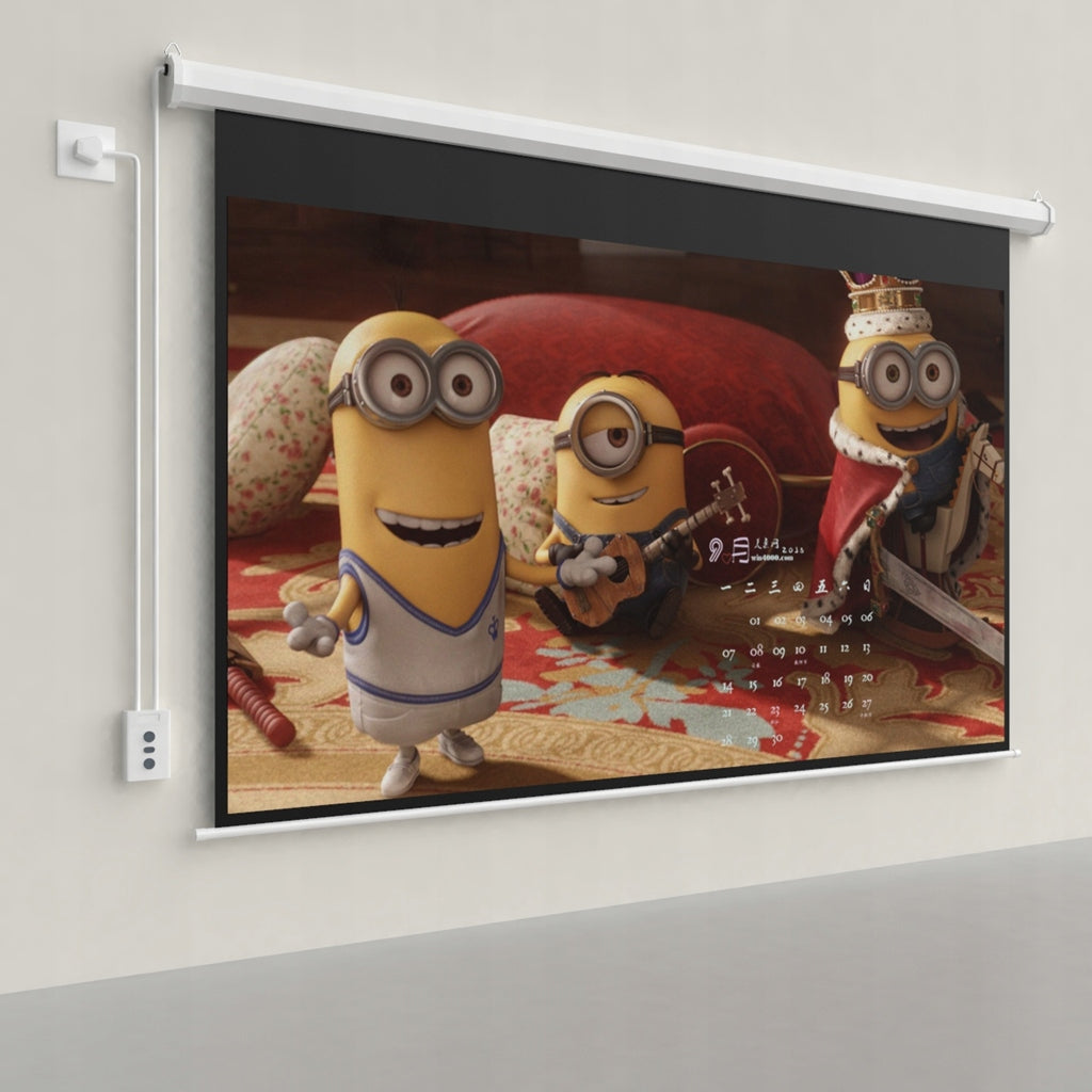 WALL PROJECTION SCREEN ELECTRIC AUTOMATIC REMOTE CONTROL 120" INCH PROJECTOR Packaging status original