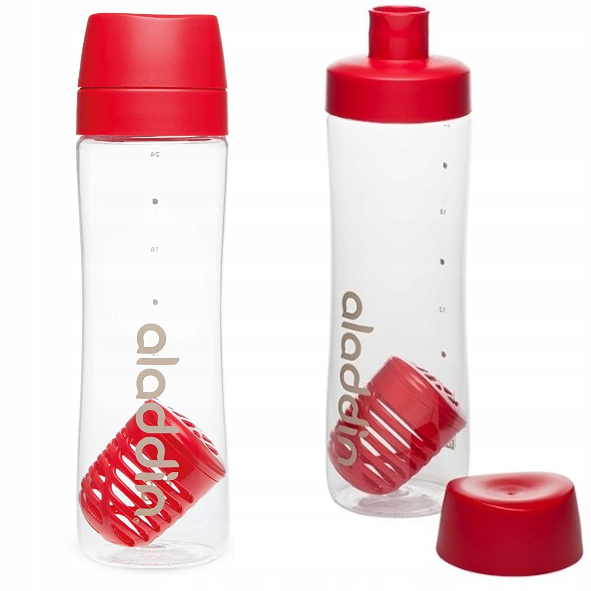 WATER BOTTLE TRITAN BOTTLE WITH FRUIT FILTER ICE 700ml