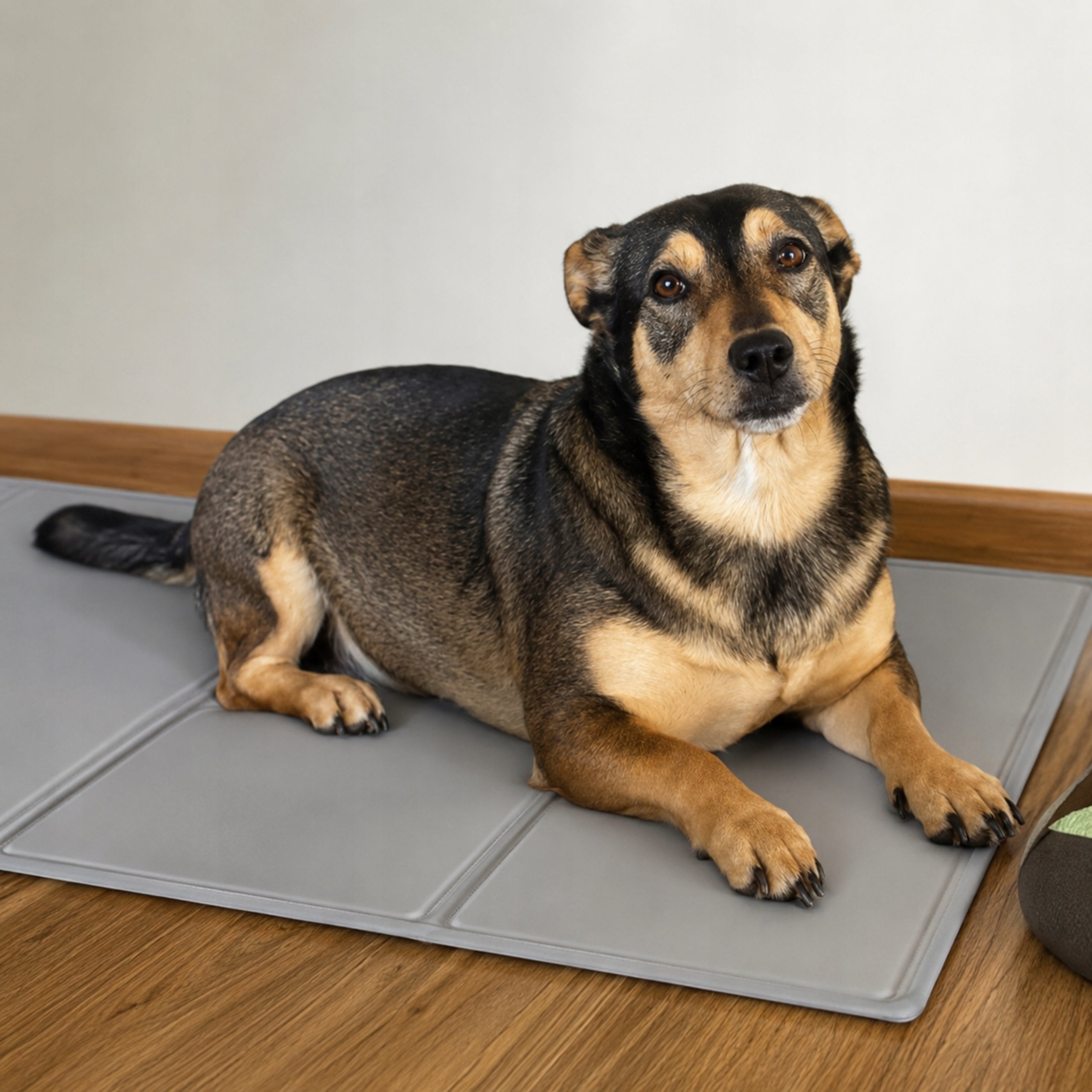 WATER COOLING MAT GEL CAT DOG BED GARDEN LARGE 110x70cm Model Mata chłodząca dla psa 110 x 70cm szara
