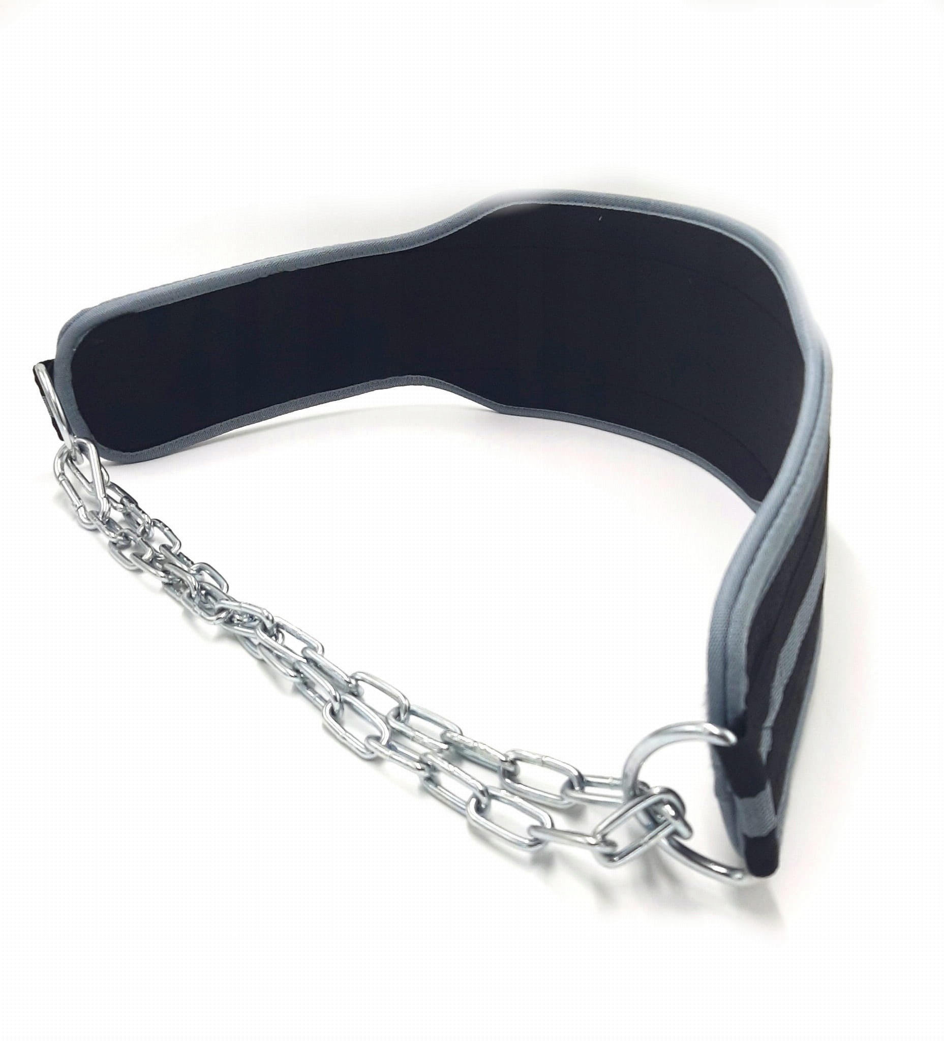 WEIGHT BELT BODYBUILDING DIP BELT EVOLUTION Brand Evolution