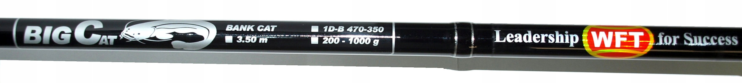 WFT BIG CAT bank cat 200-1000g, 3,5m, PER SUM EAN (GTIN) 4250336188880