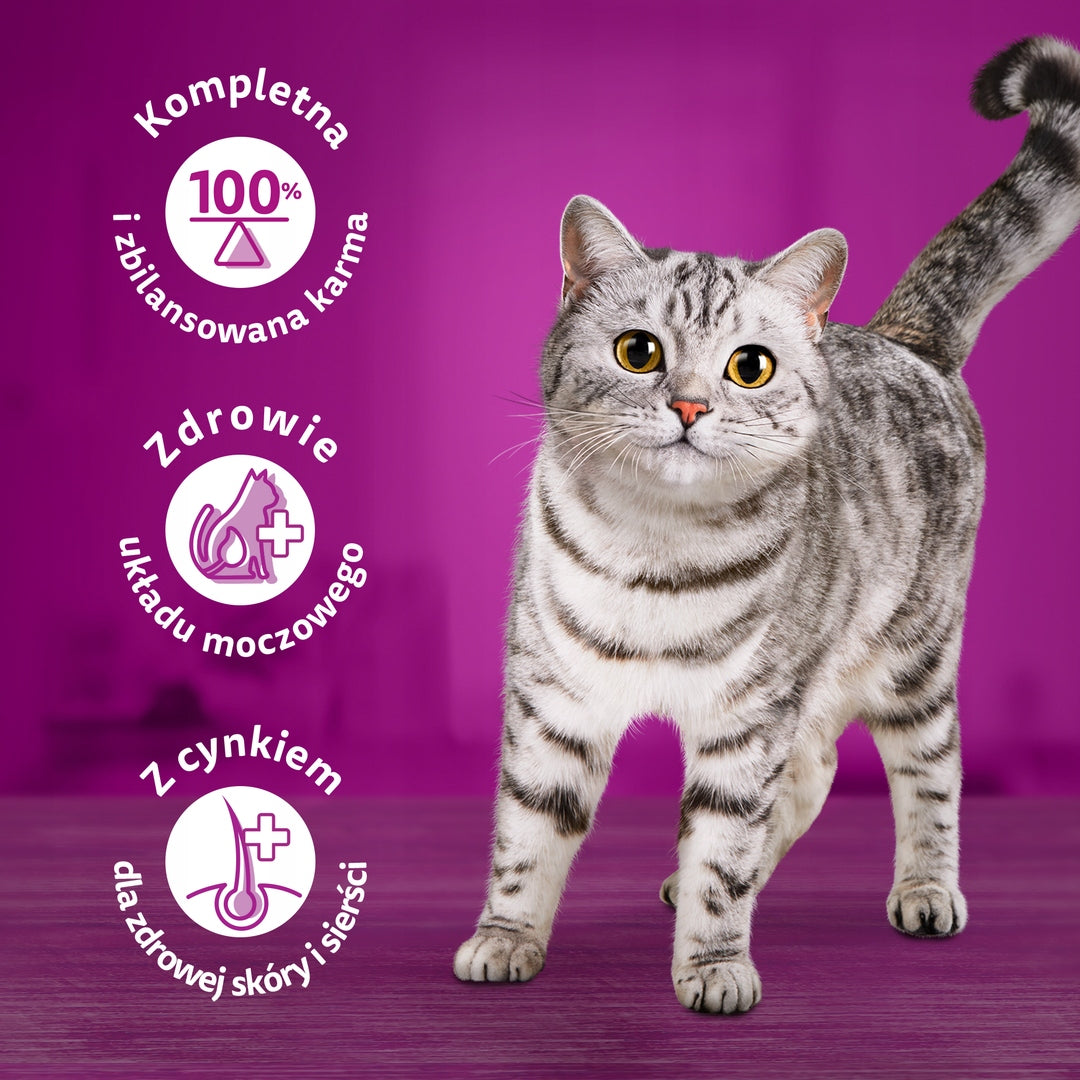 WHISKAS PURE DELIGHT WET CAT FOOD JUICY MORSELS IN JELLY 4X85 G Manufacturer code 5900951303227