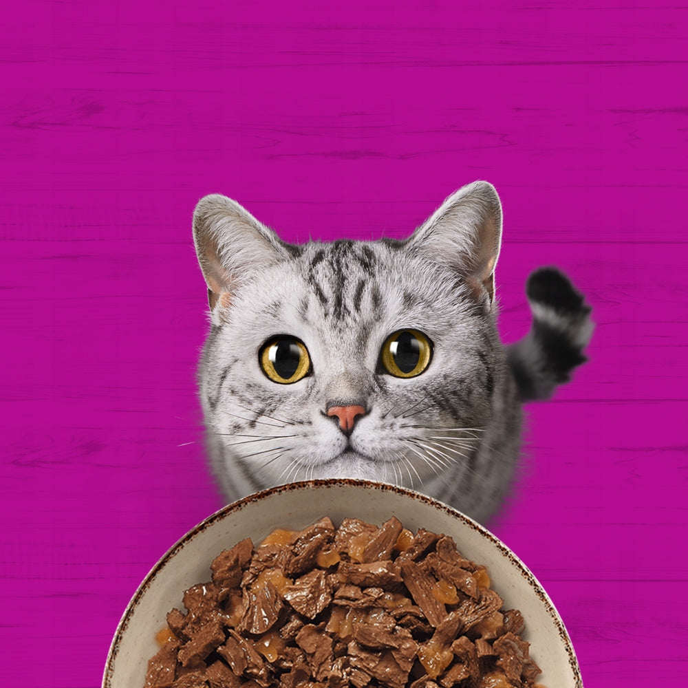 WHISKAS Pure Delight Adult Wet Cat Food in Jelly 24 x 85 g Manufacturer code 5900951301667