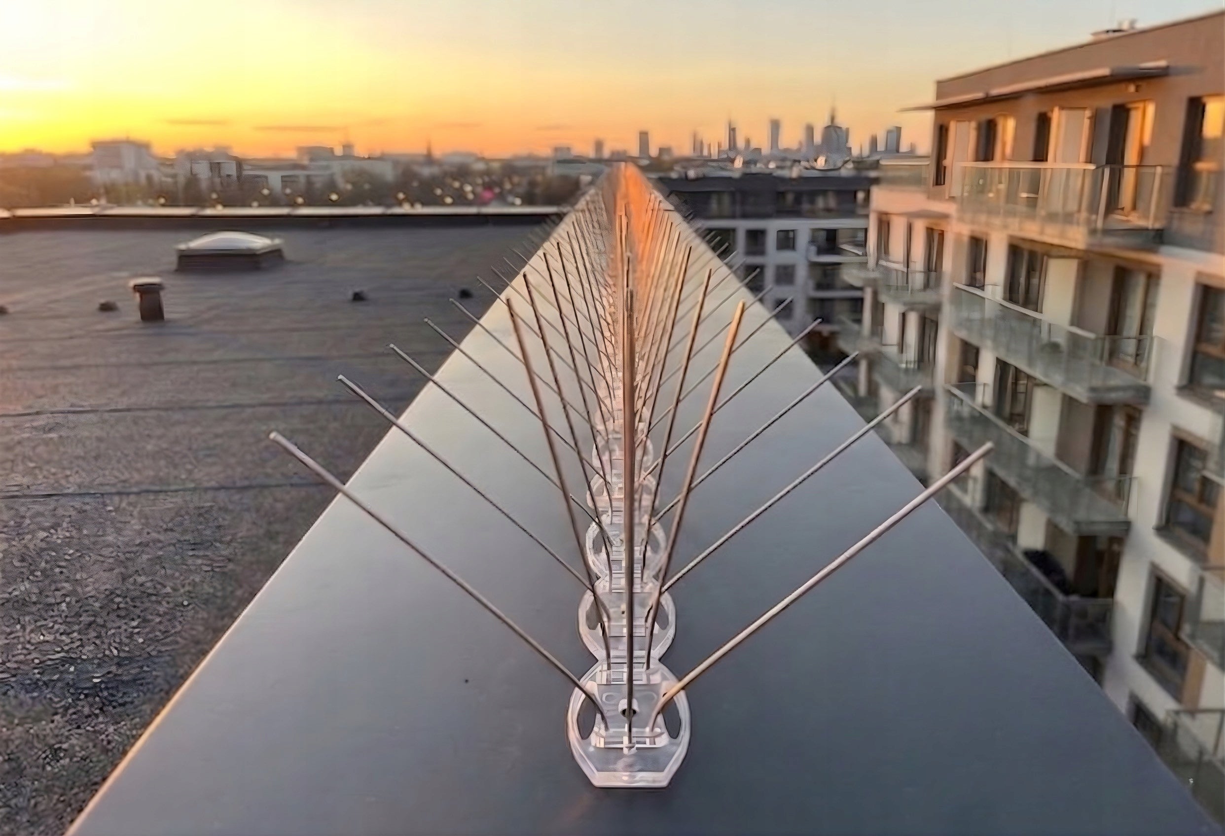 WIDE DENSE SPIKES AGAINST BIRDS LENGTH 50cm PROTECTION UP TO 24cm W160 Manufacturer code KOLCE PRZECIW GOŁĘBIOM NIERDZEWNEJ PARAPET