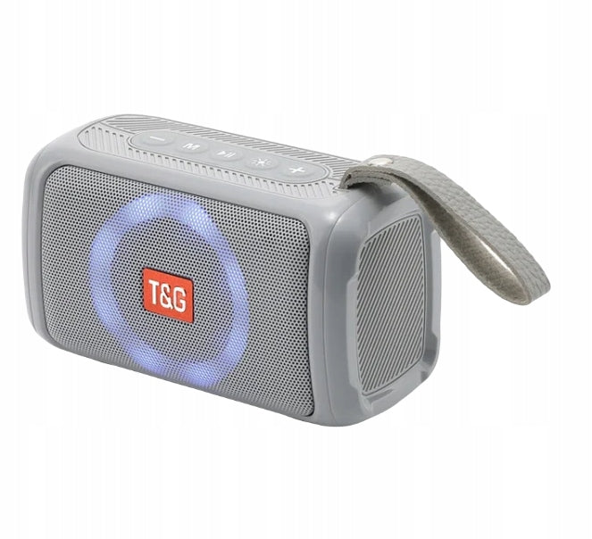 WIRELESS SPEAKER T&G TG193 POWERFUL BLUETOOTH RADIO LED MICROPHONE GREY