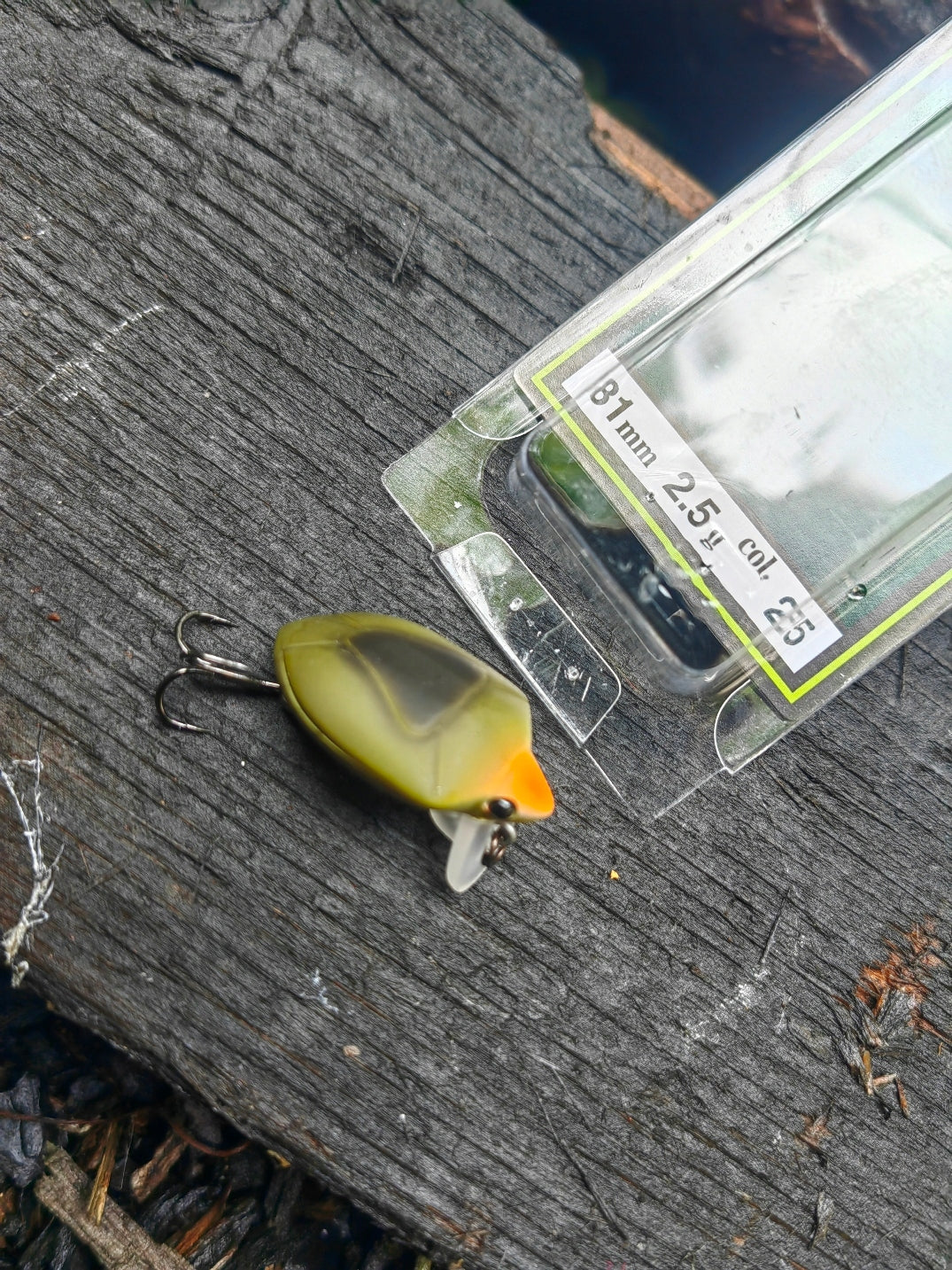 WOBBLER SMITH CAMENUSI FLOATING IMITATION BEETLE - 31 mm - 2,5 g #25 Manufacturer code Camenusi -25