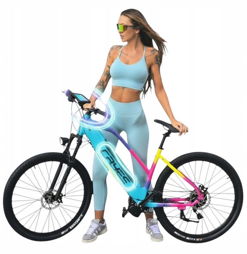 WOMEN'S ALUMINUM ELECTRIC BIKE SUV 29 INCH 80Nm 612Wh CENTRAL MOTOR