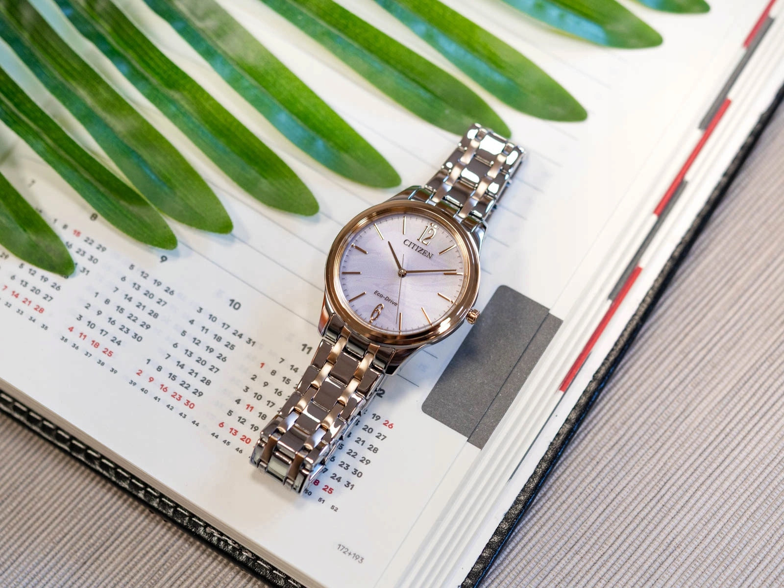 WOMEN'S WATCH CITIZEN EM0416-78A SILVER-GOLD ELEGANCE CASUAL SOALRNY Brand Citizen