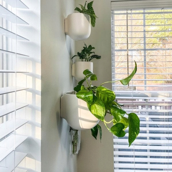 Wall hanging flower pot - ceramic - white - for balcony - Variants Color white