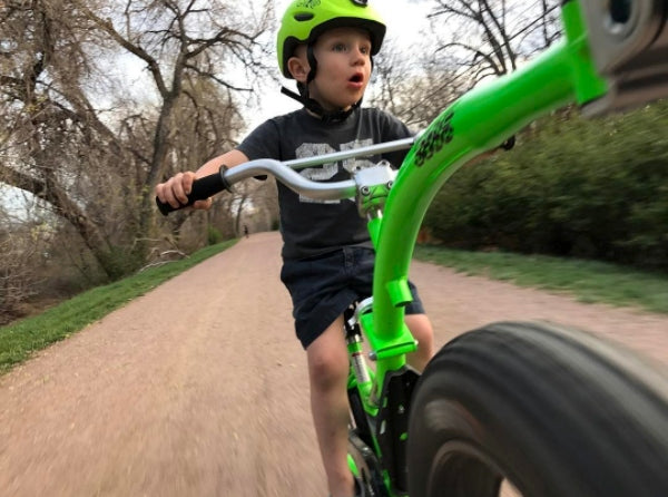 WeeRide Co Pilot bike, trailer, trailer, tow Brand WeeRide