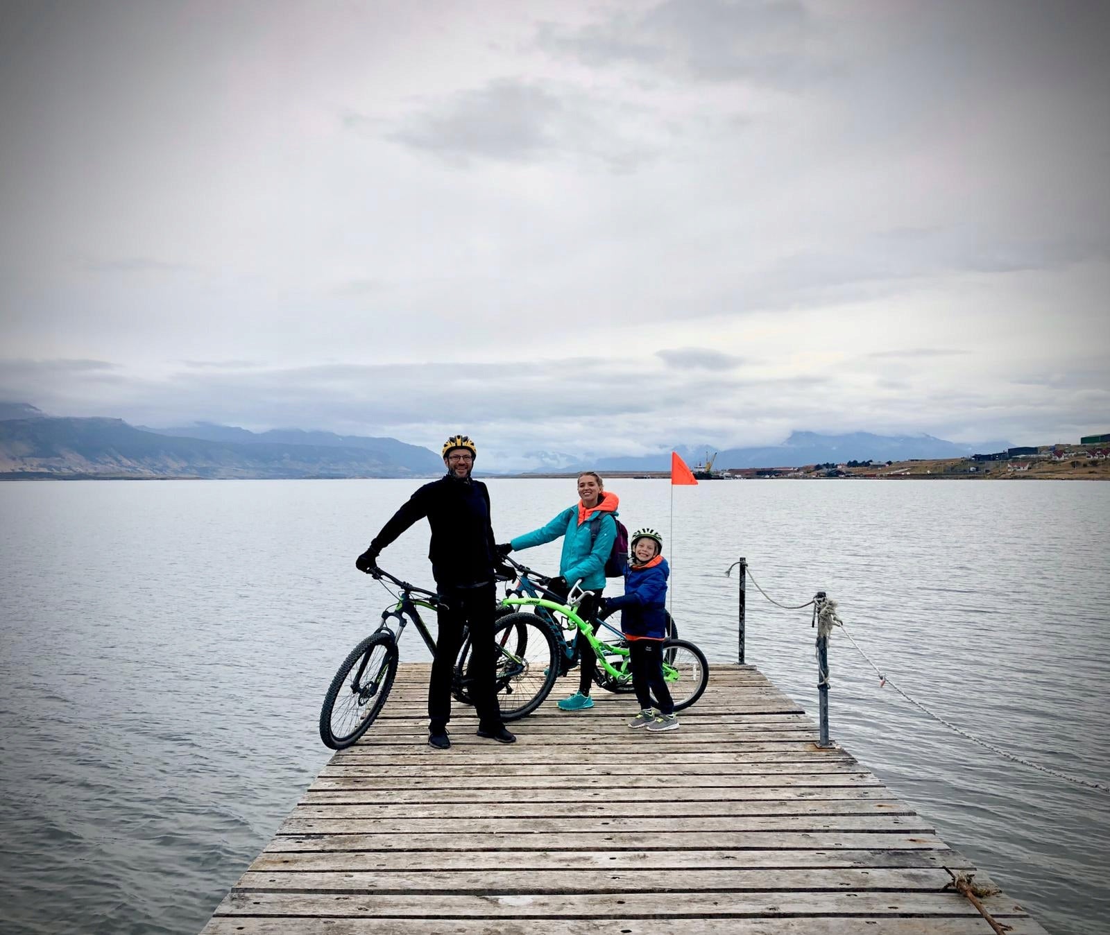 WeeRide Co Pilot bike, trailer, trailer, tow For for kids