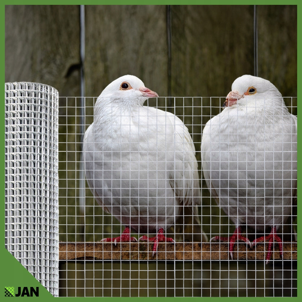 Welded Mesh OC 19x19x0,8mm for Aviary Fence 25m2 Cages Breeding Height 1 m