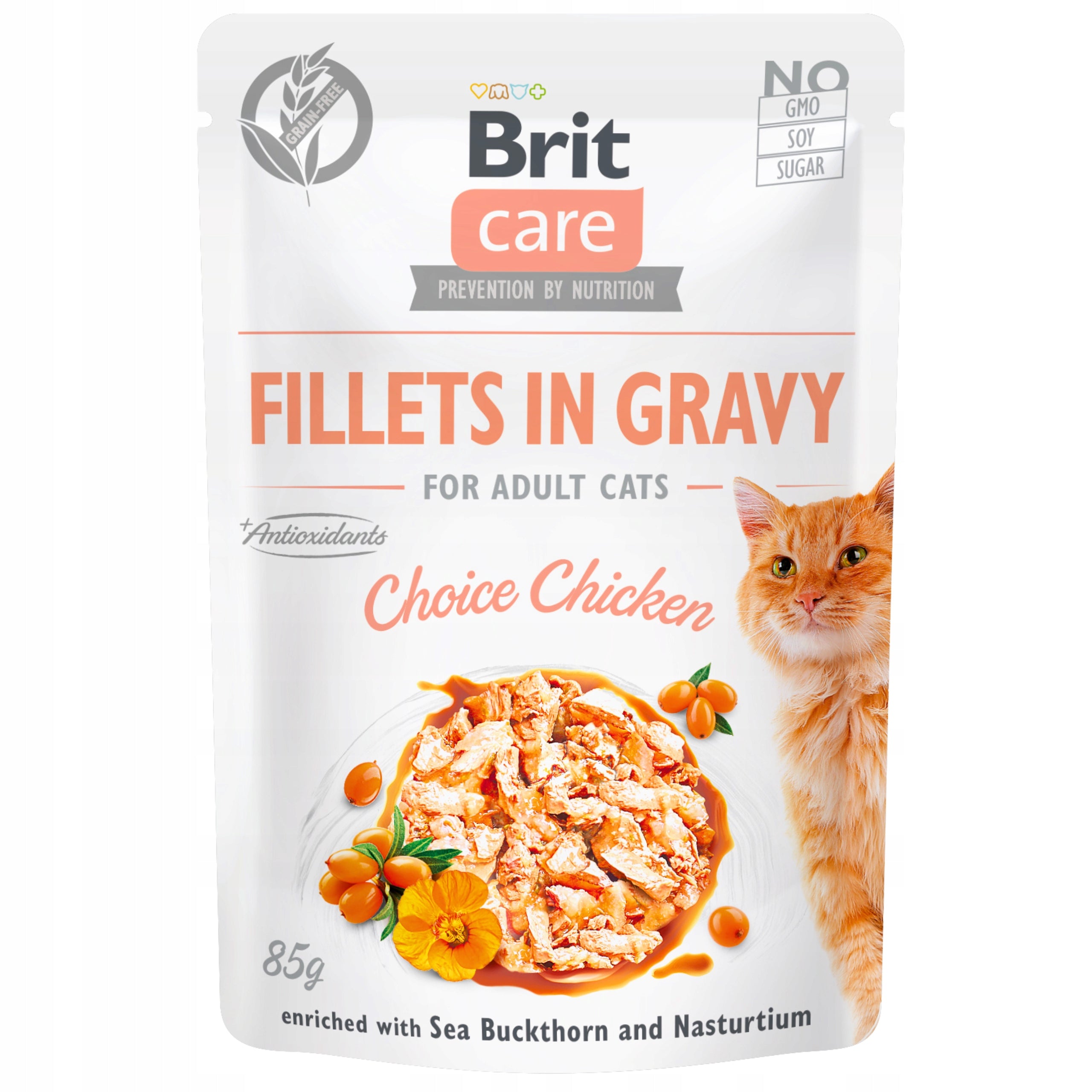 Wet Cat Food Brit Care Cat Fillets In Gravy Chicken 85g Chicken Brand Brit